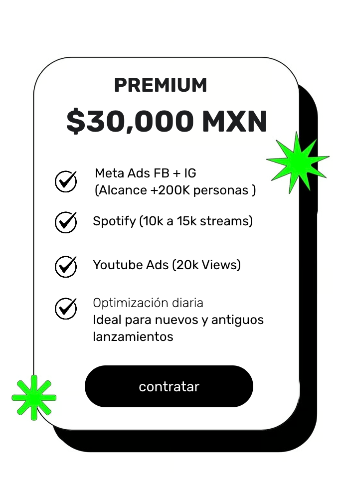 META ADS (FB + IG) + Spotify + Youtube Ads